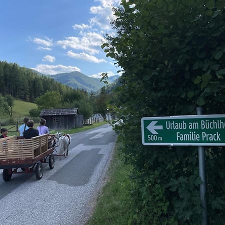 Buechlhof - App. Himmelalm Apartamento Lilienfeld Exterior foto